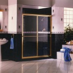 Glass Shower Door with Gold Trim