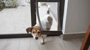 Pet door being used by a dog